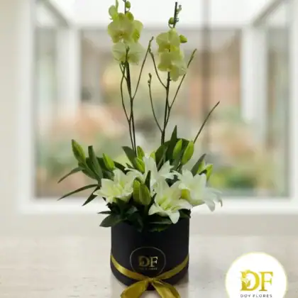 Caja Premium de Orquídea