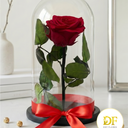 Rosa Eterna