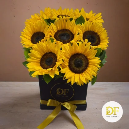 venta de girasoles en medellin