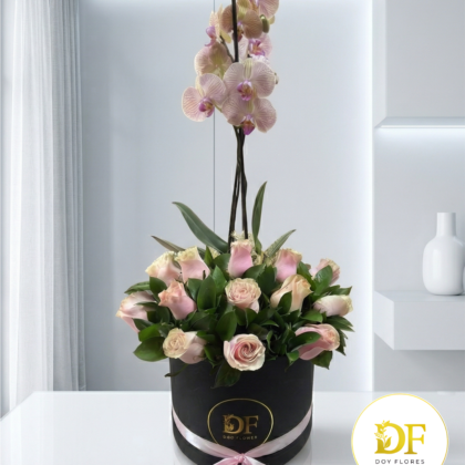 Orquídea Exclusiva